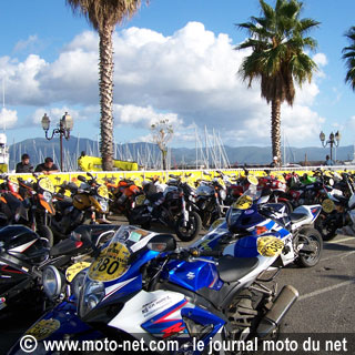 Dark Dog Tour 2008