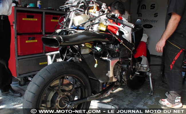 Duo d'enfer en catégorie Open : Métiss n°45