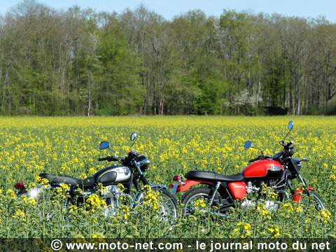 Kawasaki W800 vs Triumph Bonneville SE : les mamies font de la résistance !