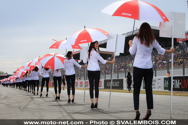 Galerie photos 24H Moto du Mans 2014 : 04 - grille de départ et Playboy girls