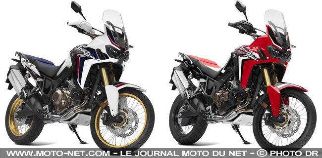 Nouvelle Africa Twin : premier contact en direct d'Afrique du Sud