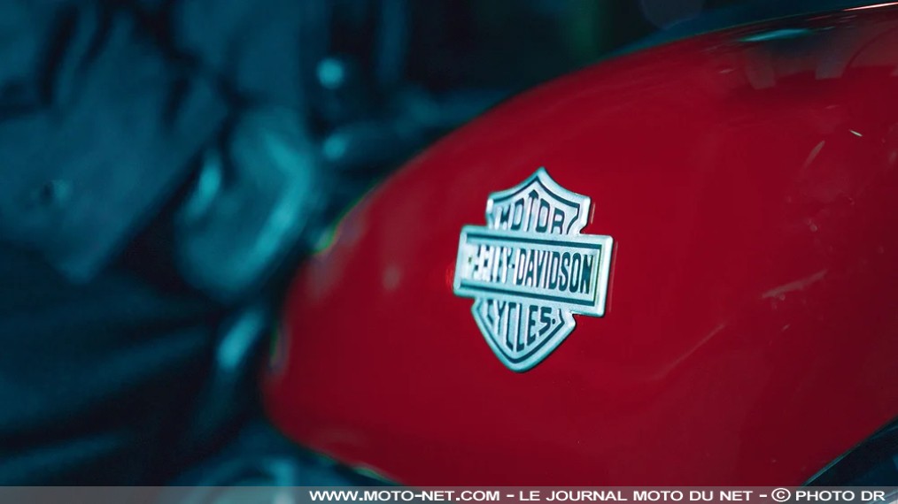 Retour aux sources et au Sportster chez Harley-Davidson

Le nouveau PDG de Harley-Davidson, Arthur "Artie" Starrs, dévoile sa nouvelle stratégie pour faire de nouveau reluire les chromes de la marque américaine. Son plan "Back to the bricks" (retour aux sources) comprend le retour de l'emblématique Sportster.
