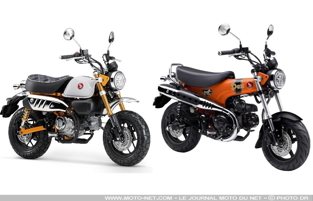 Nouveaux coloris des Honda Dax et Monkey 2026