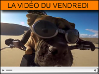 Vidéo moto du vendredi : le Best of Web de Zapatou qui fait du bien !