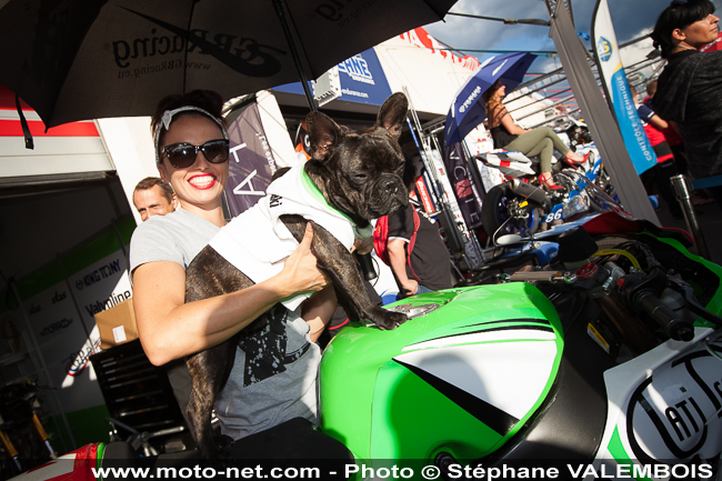 Bol d'Or 2016 - Galerie photo 01 : visite des stands