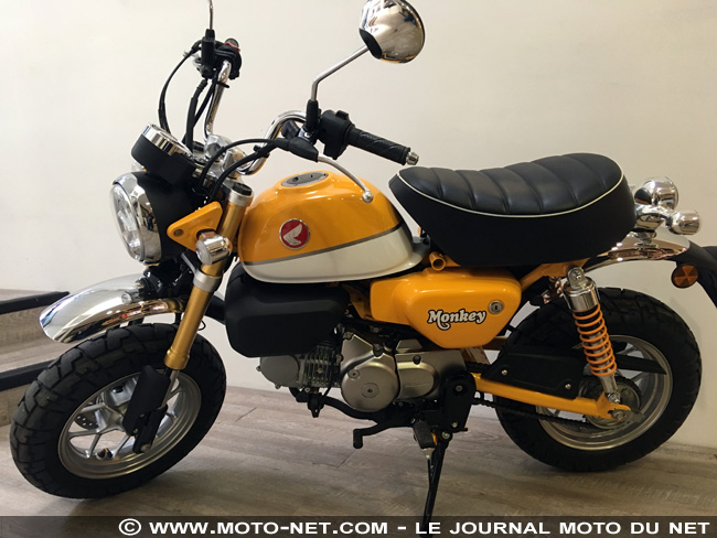 Honda confirme l'arrivée des nouveaux Monkey et Super Cub en France