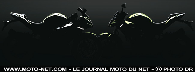 Futures Kawasaki Ninja 125 et Z125