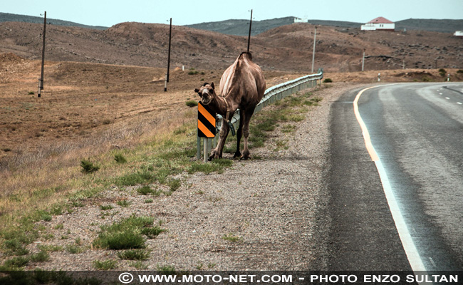 Etape 5 : D'Aktaou à la frontière de l'Ouzbékistan