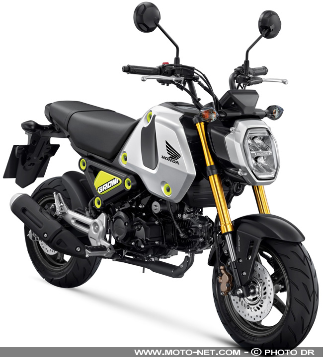  Honda MSX125 Grom : mini moto, maxi succès et gros taro 