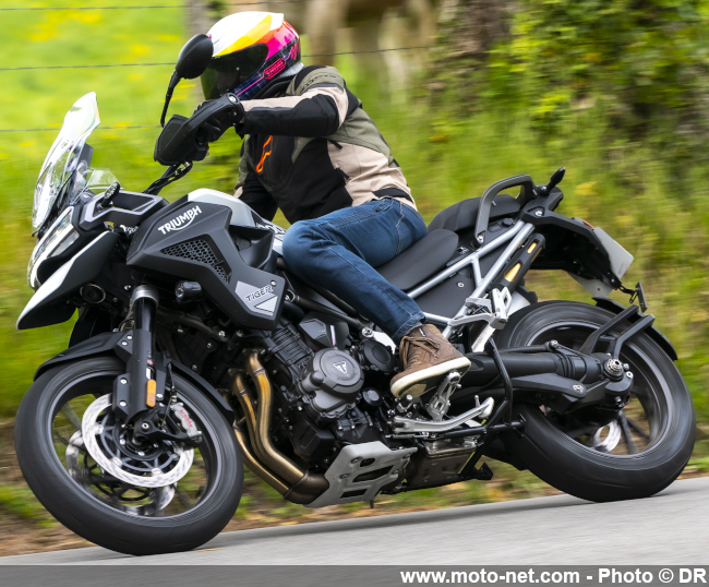 Essai Tiger 1200 2022 : le maxitrail Triumph veut bouffer du lion