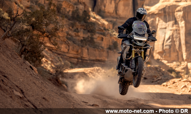 Essai Tiger 1200 2022 : le maxitrail Triumph veut bouffer du lion