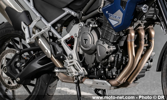 Essai Tiger 1200 2022 : le maxitrail Triumph veut bouffer du lion