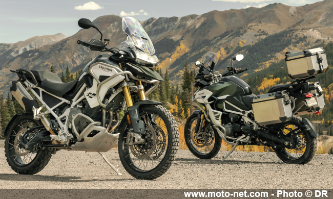 Essai Tiger 1200 2022 : le maxitrail Triumph veut bouffer du lion