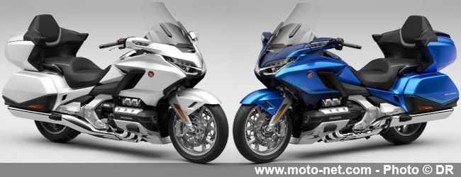  Nouveaux coloris 2022 pour les Rebel 500 et 1100, Goldwing DCT standard et Tour