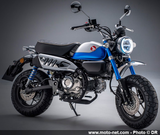 Honda Monkey 2022 : en bleu et qualifié pour l’Euro 5 !
