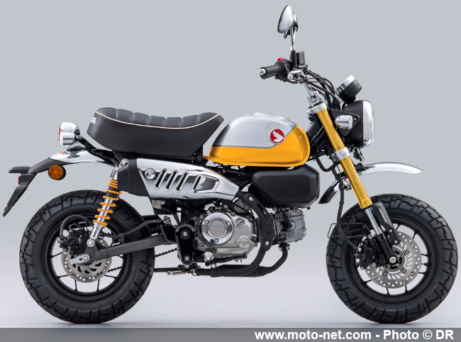  Honda Monkey 2022 : en bleu et qualifié pour l’Euro 5 !