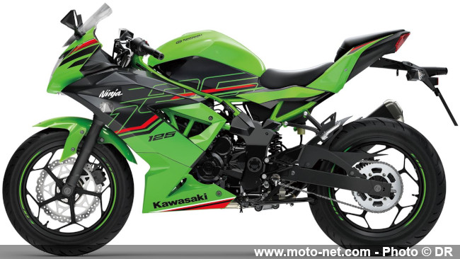 Kawasaki dévoile les coloris 2024 de ses roadsters Z, sportives et routières Ninja 