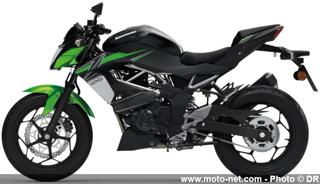 Kawasaki dévoile les coloris 2024 de ses roadsters Z, sportives et routières Ninja 