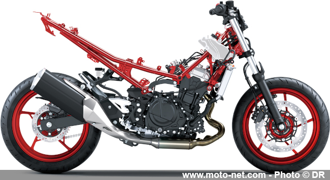 Z500 et Ninja 500 : Kawasaki gonfle un peu ses moyennes cylindrées