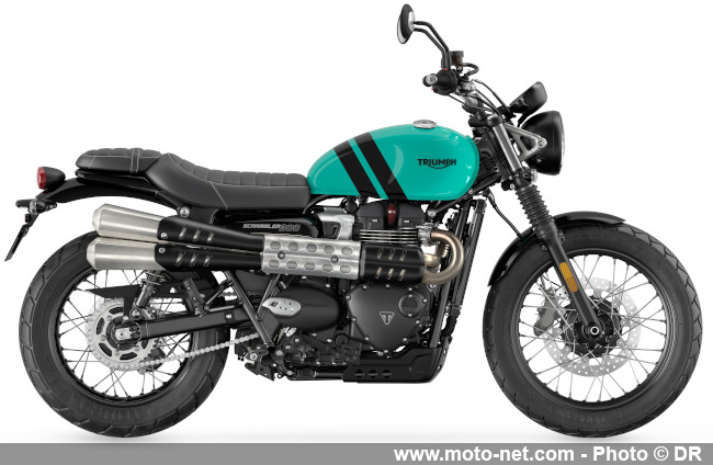 Quelques Speed Triple RR Breitling et plein de coloris 2025 chez Triumph 