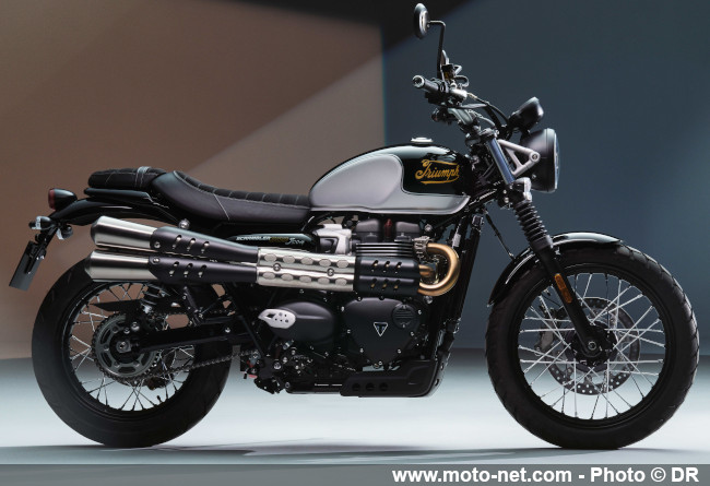 Une édition Icon en 2025 pour les motos Modern Classic de Triumph 