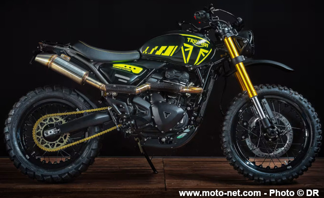 1500 euros de lot… et 1001 idées à piquer au Triumph Custom Contest 2025
